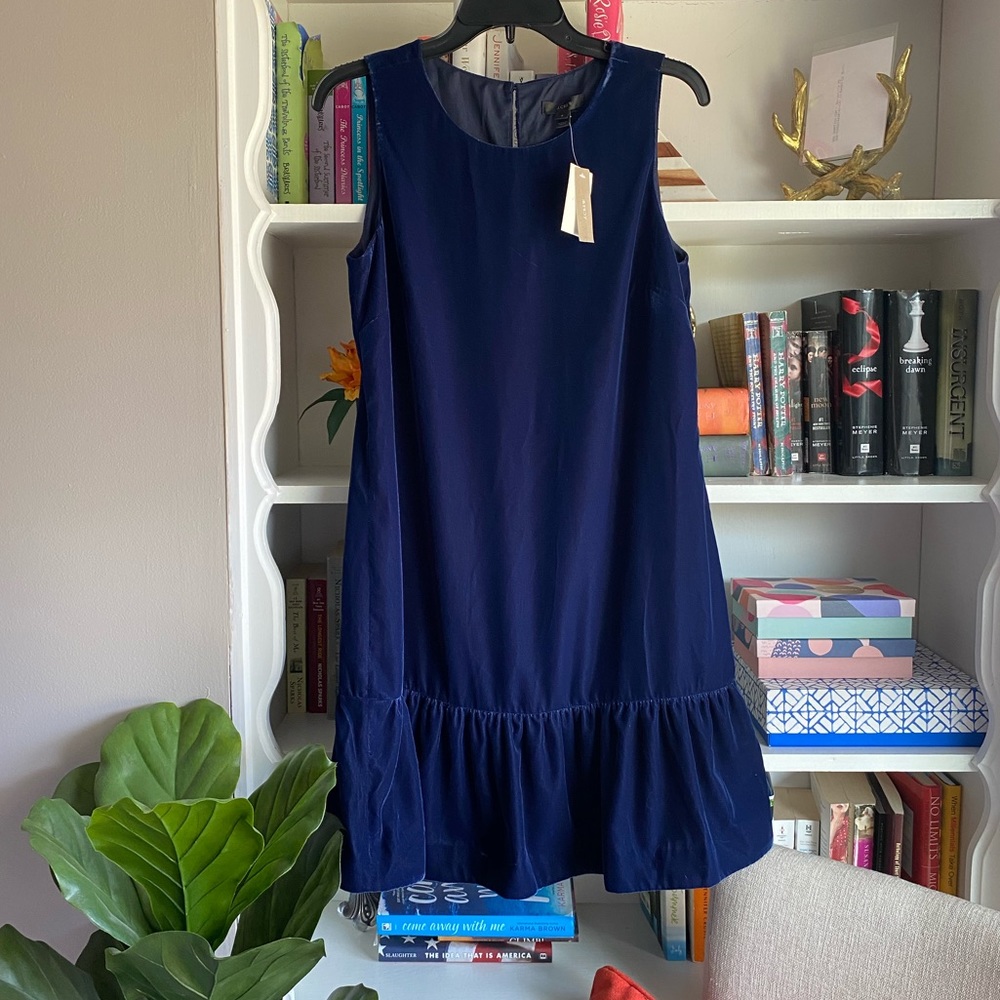 NWT Jcrew Velvet Ruffle Hem Dress